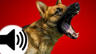 Dogs Barking Sound Effect Resimi