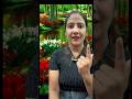 Asan tarikha bagrung chang krne ka #sort #ytshortsindia#manojdey