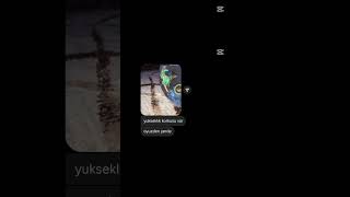 Şu Diyoğu Yapmazsam Olmazdı