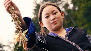 Mysterious Harvest Critters Devoured by the Hmong