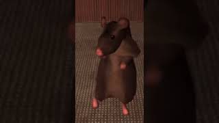 Dance Rat
