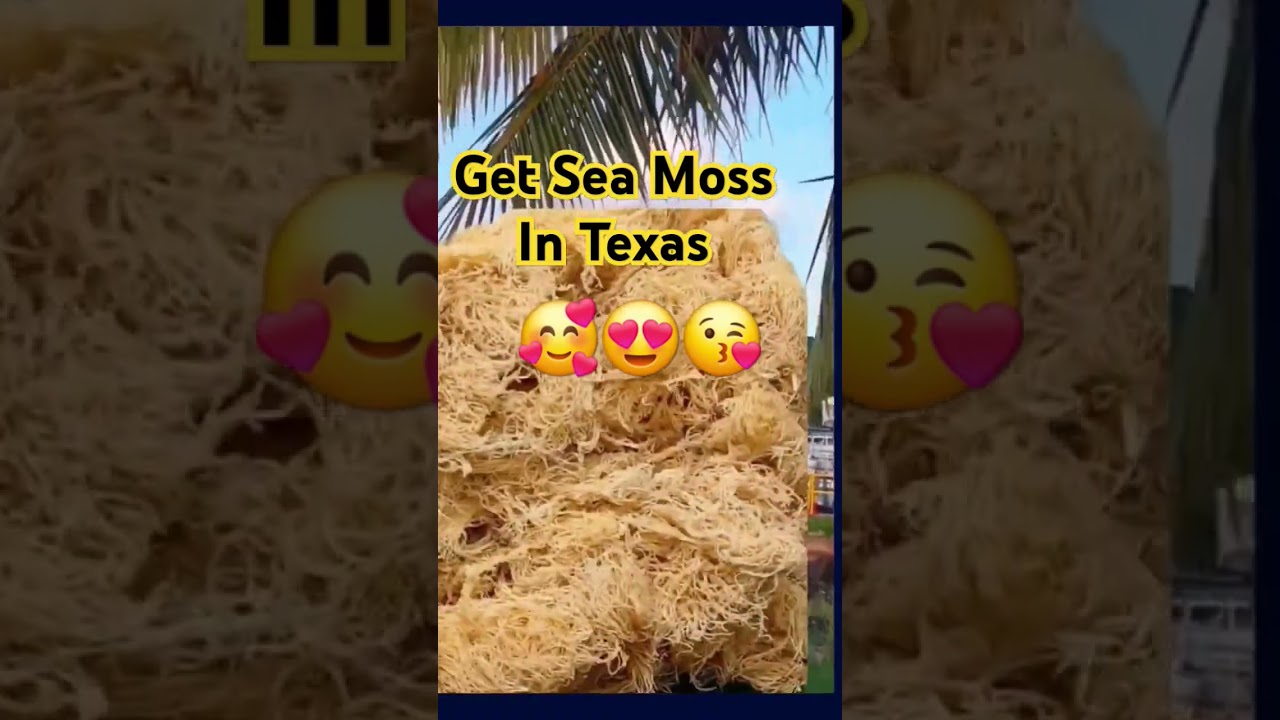 You're Being LIED TO About Sea Moss! Same-Day Shipping! 