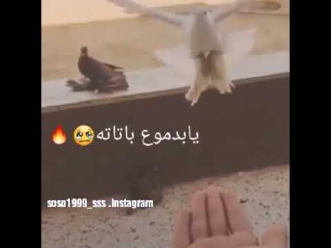 اغنيه ليبيه حزينه نبكي بلا رادا