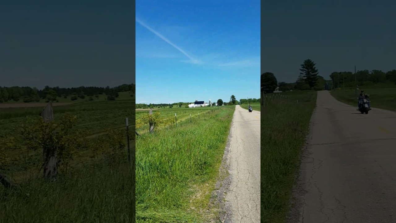 June 1, 2017 Bluebird day