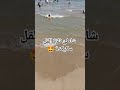 تلزة القل سكيكدة الجزائر