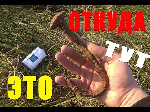 ВЫШЛИ НА ОБМЕЛЕВШЕЕ