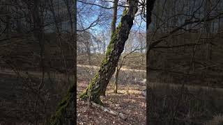 IMG 4380