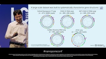 A compendium of human RNA structures and modifications