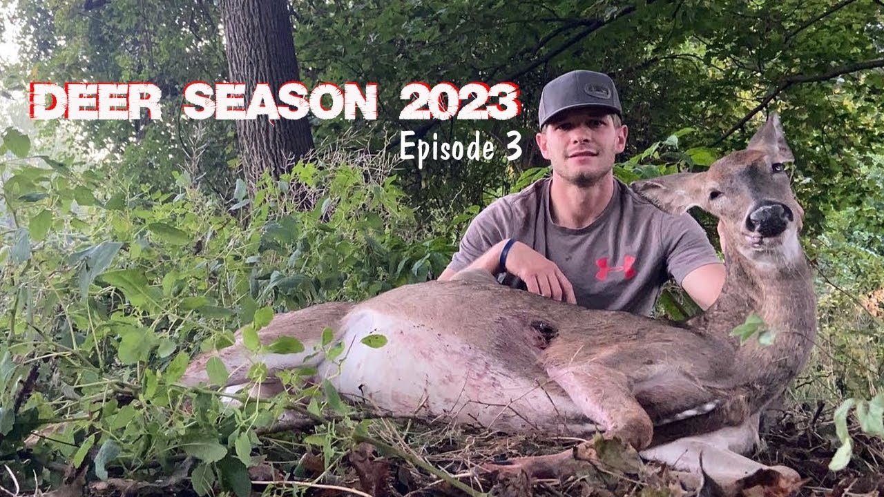 BOWHUNTING Deer Bedding Areas in October!! PA Archery Deer Hunt 2023