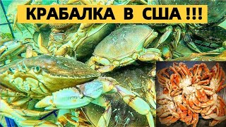 КРАБОЛОВКИ ТРЕЩАТ ПО ШВАМ !! МОРСКОЙ ДЕЛИКАТЕС. КРАБЫ ТИХОГО ОКЕАНА В США. КРАБАЛКА ТРУДОВАЯ.