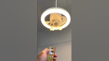 Quạt đèn trần 2 trong 1 Xoay 360 Độ° với 3 Cánh quạt và đuôi đèn E27 điều khiển từ xa tiện lợi