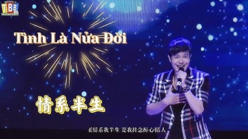 Tình Là Nửa Đời 情系半生 (Hoài Mong) | Song ngữ Việt Hoa | Lam Trường 张学友  | Mạch Quốc Trí