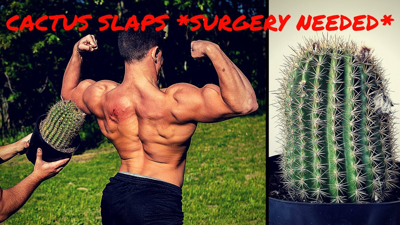 Shot With 1000 Paintballs In Slow Motion Bodybuilder Vs Paintball Guns Crazy Challenge Fail Youtube Shot With 1000 Paintballs In Slow Motion Bodybuilder Vs Paintball Guns Crazy Challenge Fail Youtube