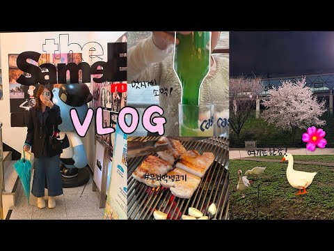 [Vlog]요가하고 샨티/ 한강에 거위가 살고있다/ 무쇠막생고기에서 술도녀 소맥챌린지