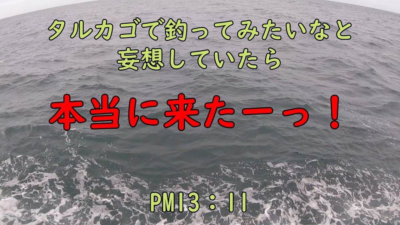 ヒラマサ釣り 19年10月21日 伍八波止タルカゴ編 Youtube ヒラマサ釣り 19年10月21日 伍八波止タルカゴ編 Youtube
