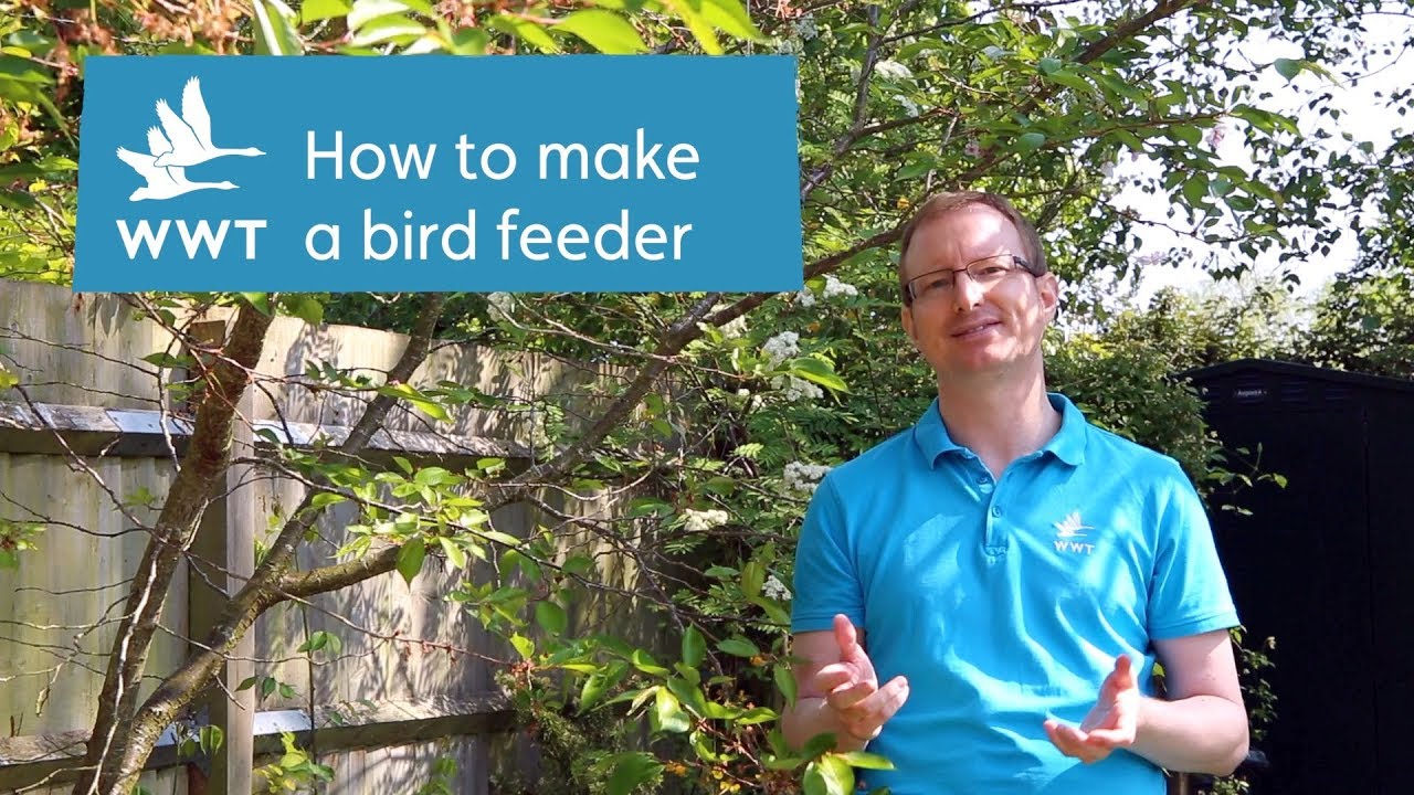 How to make your own bird feeder | WWT
