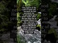 Bible verse of the day #faithjourney #bibleverse #faithoverfear #biblescripture #fyp #godisgood