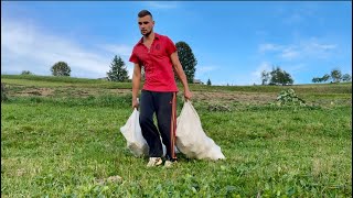 видео: Жизнь в горах: рубим капусту и чистим красную свеклу на зиму картинка: Жизнь в горах: рубим капусту и чистим красную свеклу на зиму