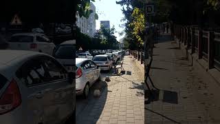 Adanada Kauçuk Ve Turunç Ağaçlarını Gördüm.şfet Ç