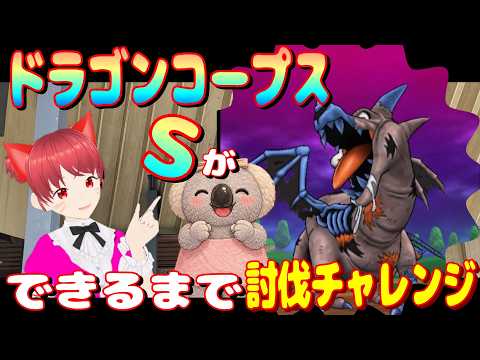 【ドラクエウォーク】ドラゴンコープスのSができるまで！