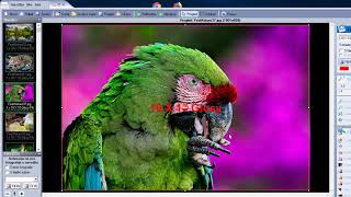 Internet izrada fotografija - ePhotoLab Foto Žunić tutorijal screenshot 4