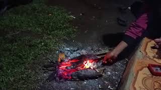  The Best Album Tony Q Rastafara  Kumpulan Lagu Reggae Terbaik U0026 Paling Hits Sepanjang Masa 