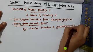 general sensation of soft palate mp4 || Anatomy screenshot 5