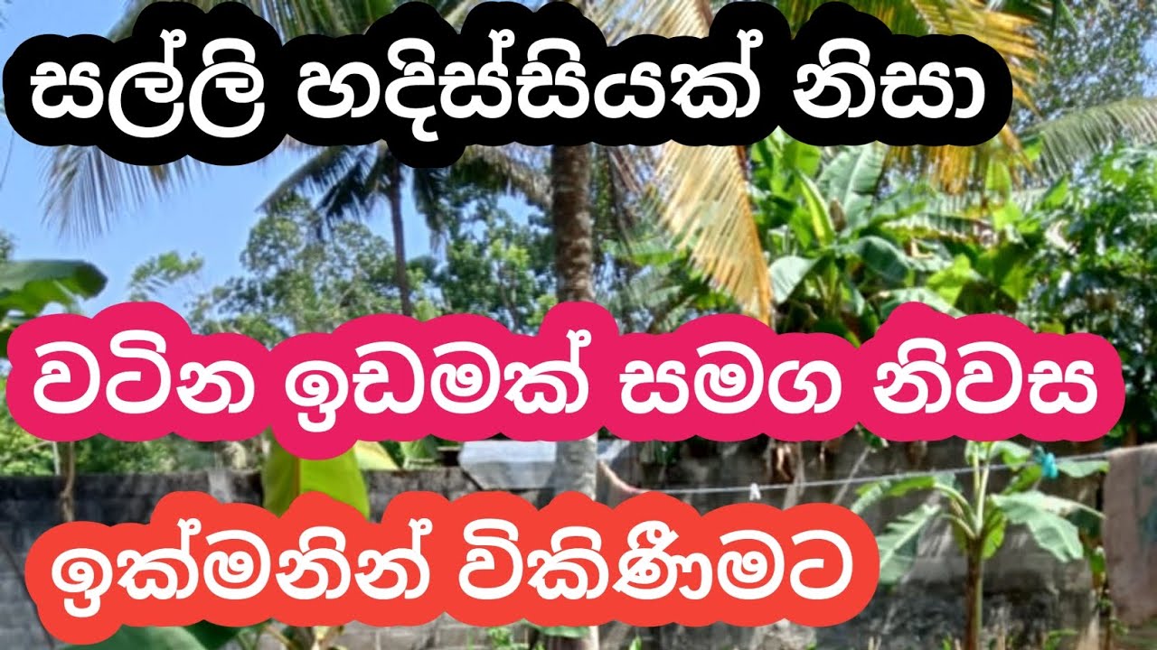 වටින ඉඩම සමග නිවස ඉක්මනින් විකිණීමට/land sell sri lanka/aduwata idama