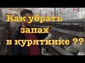 Бизнес на бройлерах кобб 500 как убрать запаха в курятнике от аммиака чистка помета в курятнике