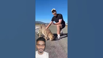 Mr Beast RACES the FASTEST LAND ANIMAL on EARTH #shorts #short #mrbeast #LoLjunction #viral