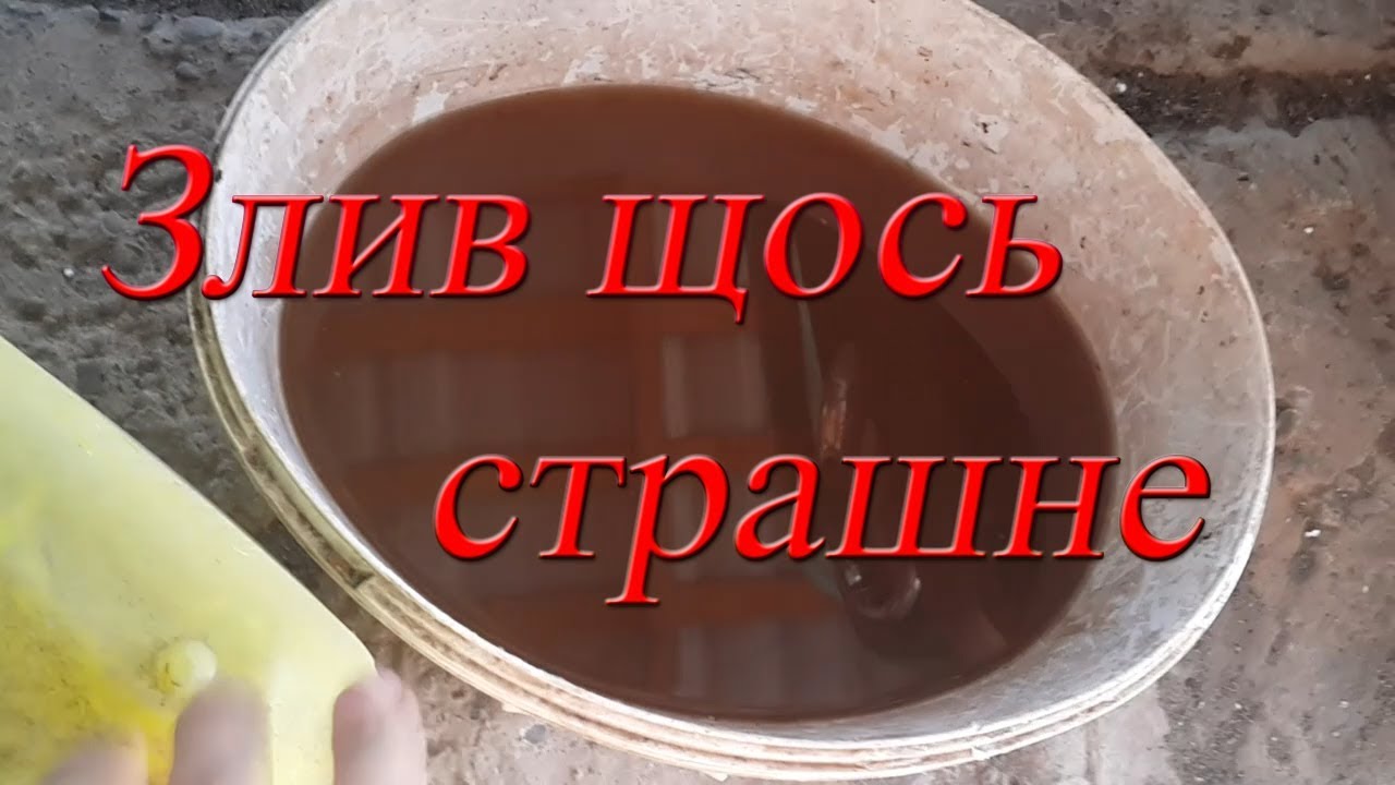 Чери первое то
