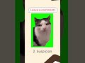 Best Cat Memes at all time Pt.5
