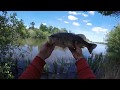 beau black bass au spinnerbait..........touche en direct HD