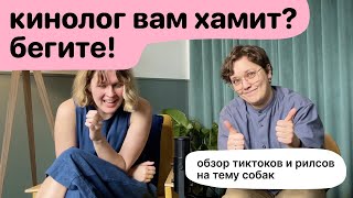 Кинолог вам хамит? Бегите! Смотрим популярные тиктоки на тему собак