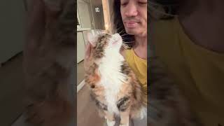 Jax Solomon Tantra Mage Expert In Las Vegas And His Cat Thorvi