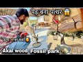 पेड़ बना पत्थर 😱 || akal wood fossil park jaisalmer || #jaisalmer  #akalwoodfossilparkjaisalmer