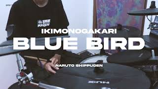 ikimonogakari - blue bird (drum interpretation) #30daysanisong [10/30]