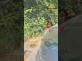 How Jamaica's MAIN Roads are Built | Before &amp; After