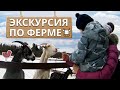 Живая экскурсия на ферму Захаровых | Как развивать агротуризм в России?