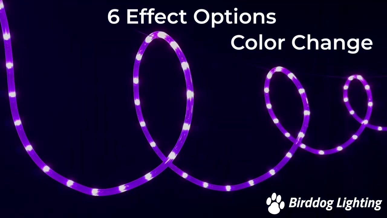 RGB Color Changing Chasing LED Rope Light with Sparkle Effects - 120 Volt - 25 Feet