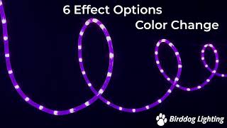 RGB Color Changing Chasing LED Rope Light with Sparkle Effects - 120 Volt - 25 Feet