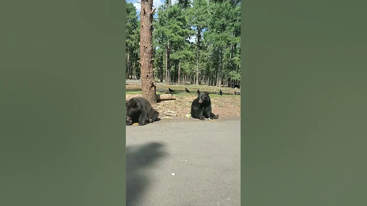 Lunch time