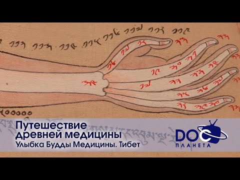 Видео: Путешествие древней медицины - Фильм 1.Улыбка Будды Медицины. Тибет - Научно-популярный фильм