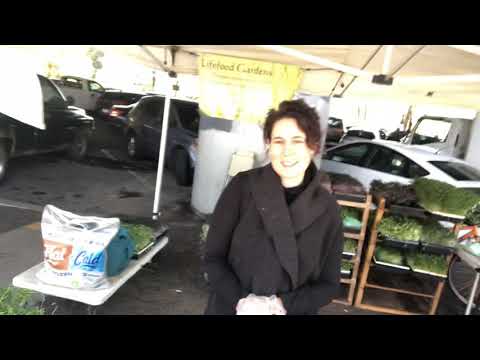 Lifefood Gardens Produce At Grand Lake Farmers Market Oakland