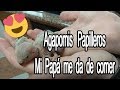 😍 Papá Agaporni ALIMENTA a sus crías 🐣 Agapornis Papilleros Roseicollis