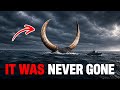 This Creature Was Never Extinct — It Was Hiding Near Australia