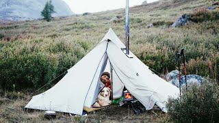 Медведь рядом с палаткой | Наконец добыл еду в диких условиях