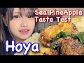 Sea Pineapple Challenge with Asuka