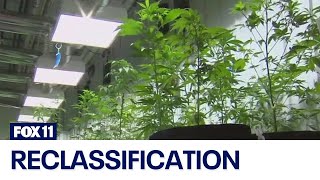What the DEA reclassifying marijuana could mean for California