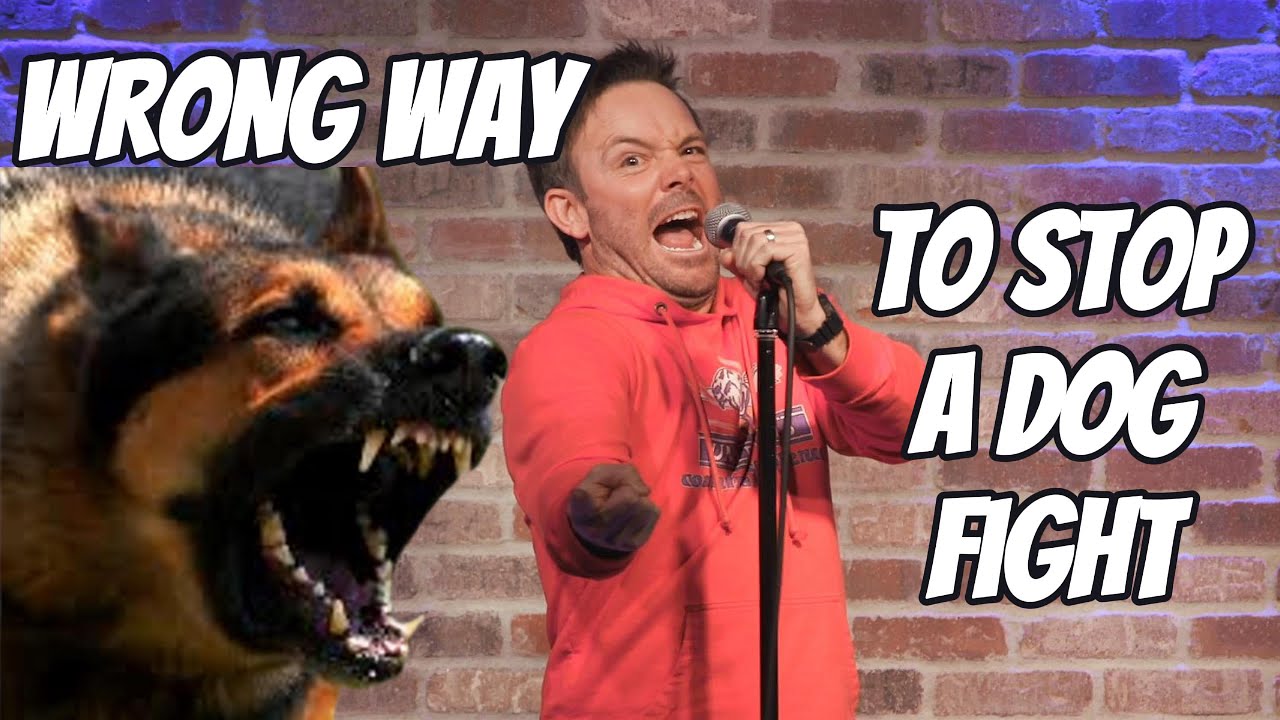 WRONG WAY to Stop a Dog Fight